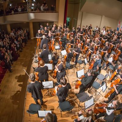 100 violončelių