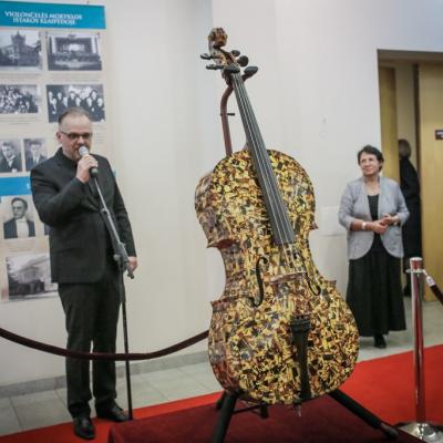 Gintarinė violončelė. D. Petrauskaites parodos atidarymas