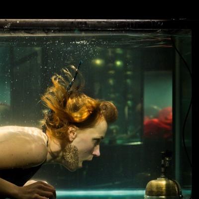 GAIDA 2017. AQUASONIC 