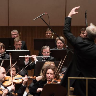 LVSO archyvas. 2016.03.11.foto.A.Pozarskis