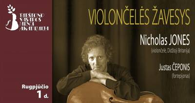 VIOLONČELĖS ŽAVESYS